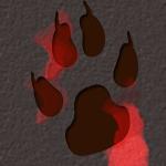 Pour les passionns des loups !