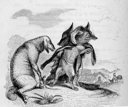 Le Loup Et Le Renard
